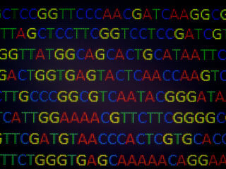 portable genome sequencing