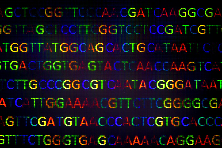 portable genome sequencing