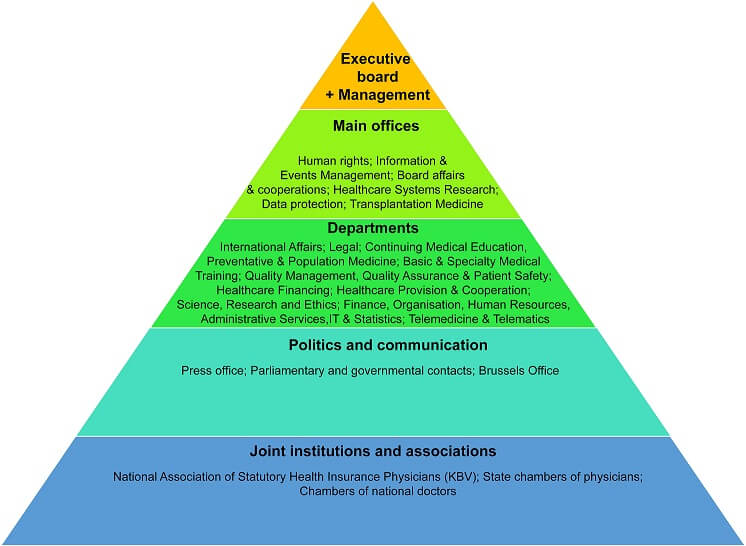 Lobby groups in German healthcare system - Why are they powerful?