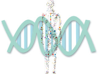 4 Key market segments of genomics in digital health industry